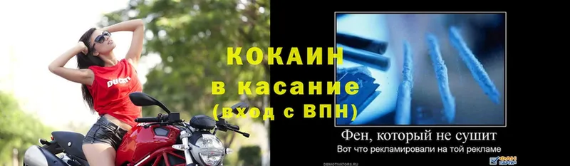 ОМГ ОМГ зеркало  Кадников  КОКАИН Эквадор 