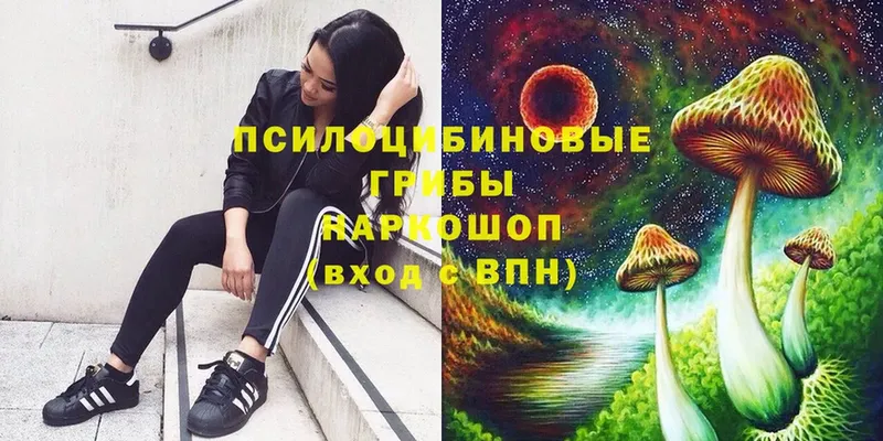 площадка какой сайт  Кадников  Псилоцибиновые грибы Psilocybe 