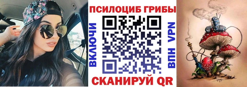 Галлюциногенные грибы Psilocybe  купить  цена  Кадников 