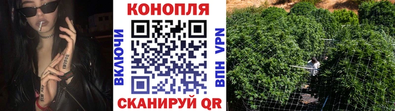 Шишки марихуана Bruce Banner  цены   Кадников 